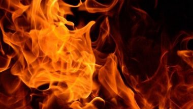 Turbhe Fire: तुर्भे येथील डम्पिंग यार्डला भीषण आग; अग्निशमन दलाच्या अनेक गाड्या घटनास्थळी दाखल (Watch Video)